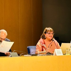 introduzione ceccagnoli